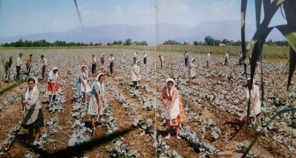 Donne Rurali Albania