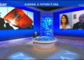 Today: “Albania, Un Voto Per Il Futuro”