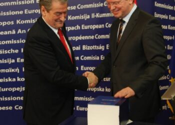 Berisha con il Commissario per l'Allargamento Fule
